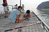 20120728-155155_thumb.jpg